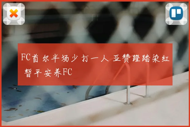 FC首尔半场少打一人 亚赞蹬踏染红 暂平安养FC